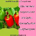 1000174745.webp