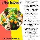1000174755.webp