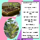1000174898.webp