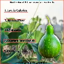 1000171581.webp