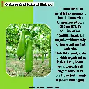 1000171585.webp