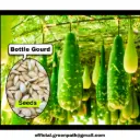 Bottle Gourd Seeds