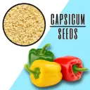 Capsicum Seeds