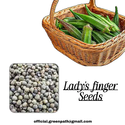 Lady's Finger Seeds